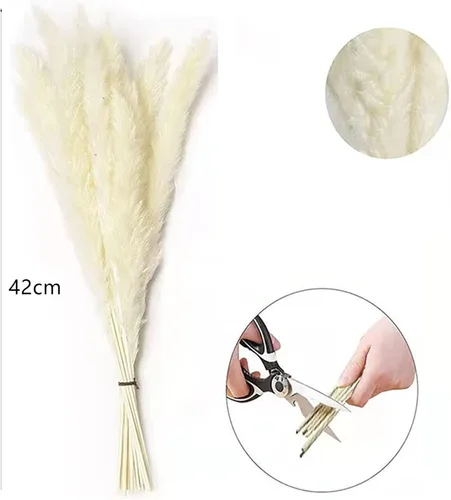 Vista 2 de 30 flores secas de junco, ramo de flores secas de hierba de las pampas, ramo de flores secas de ramas artificiales de pluma, 17 pulgadas, decoración