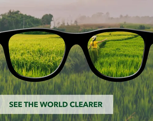 Vista 5 de Green Oak Recambio de limpiador de lentes profesional para lentes, lo mejor para anteojos, cámaras y lentes, limpia de forma segura las huellas