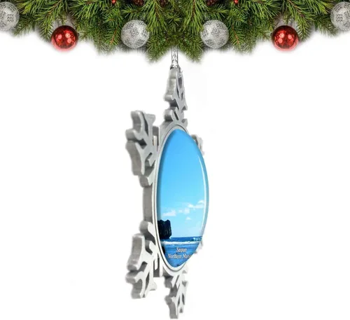 Vista 2 de Bird Island Saipan Northern Mariana USA Adorno de Navidad Decoración de árbol de cristal Metal recuerdo regalo