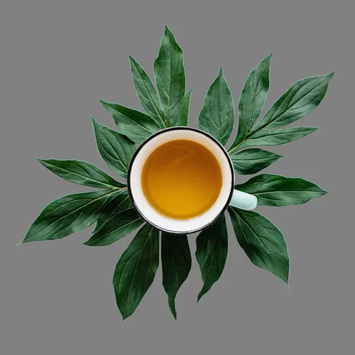 Vista 3 de Crème de la Earl orgánica, hojas sueltas saborizadas Earl gris té negro, el primer sorbo de té, bolsa de 8 onzas (80-100 porciones) The Spice Hut