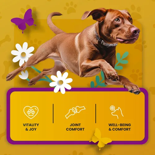 Vista 6 de Suplemento de cadera y articulaciones para perros, glucosamina condroitina aprobada por veterinarios para perros, soporte de flexibilidad y fuerza