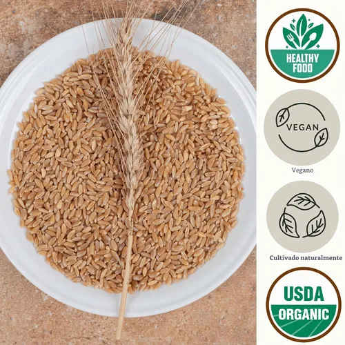 Vista 3 de Grano de cebada descascarillado orgánico, 2.8 libras, semillas de grano de cebada entera a granel