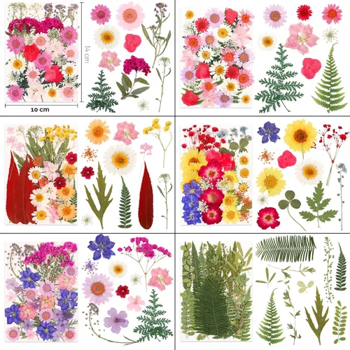 Vista 3 de 210 Pcs Dried Pressed Flowers for Resin,Real Nature Dried Flowers for Craft