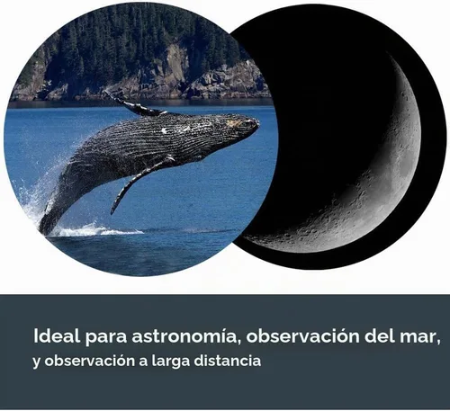 Vista 5 de Celestron SkyMaster - Prismáticos 25x100 – Binoculares de apertura gigante para astronomía de cielo profundo y visión de larga distancia – Óptica