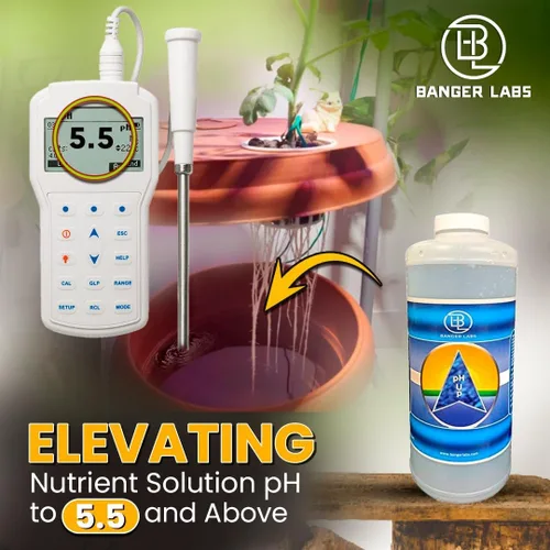 Vista 5 de Solución prémium de pH Up: corrige los desequilibrios de pH, maximiza la absorción de nutrientes, previene las plantas enfermizas, ajuste del pH