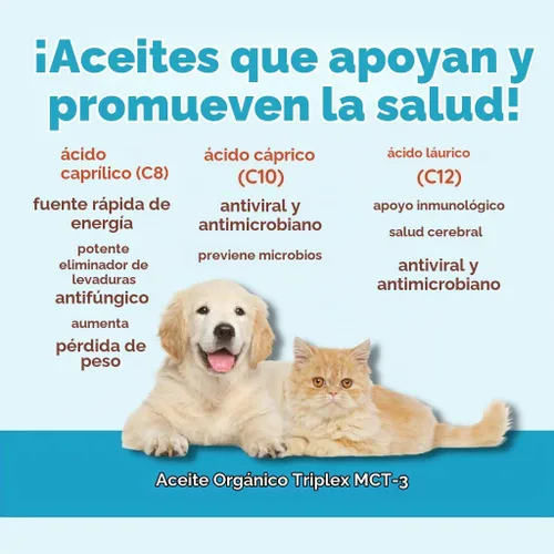 Vista 6 de CocoTherapy Aceite Triplex MCT-3, sin OMG, 100% puro y natural, 8 onzas.