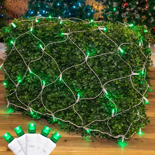 Vista 22 de Novelty Lights Luces de red de 2 x 10, 100 LED de color blanco cálido con espacio de 4 pulgadas, bombillas de gran angular de 0.197 in en cable