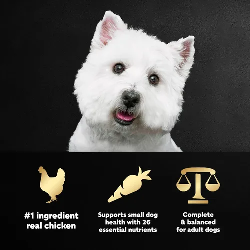 Vista 2 de Comida para perros de raza pequeña seca Cesar, Pollo Made in USA, Real chicken #1 ingredient, 26 essential nutrients, supports small breed health