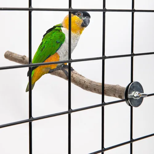 Vista 7 de EBaokuup 5 perchas para pájaros de madera natural para loro, soporte de madera para loros, ramas, jaula, accesorios para pájaros pequeños