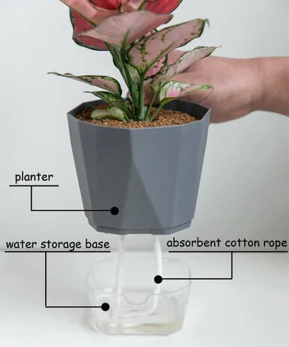 Vista 4 de Paquete de 6 macetas de plástico de 5 pulgadas con autorriego para interiores, modernas macetas decorativas para suculentas, aloe, hierbas, violetas