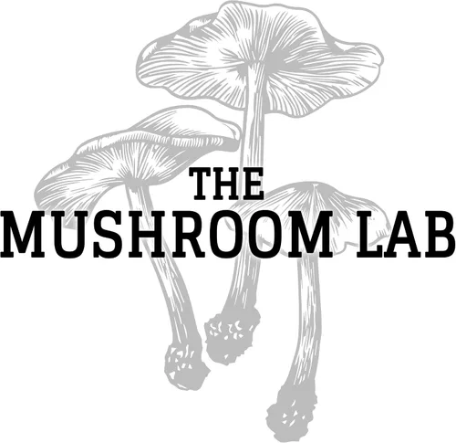 Vista 2 de Cultivo líquido de hongos - Melena de león (Hericium Erinaceus)