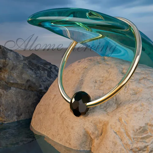 Vista 53 de Variedad de aretes de aro para cartílago