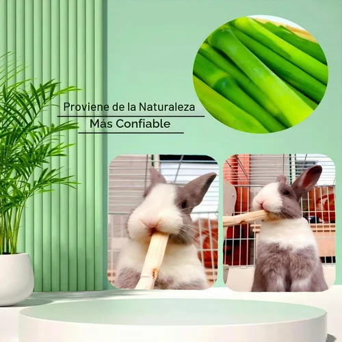 Vista 5 de Juguete masticable de bambú dulce de 10.58 oz para animales