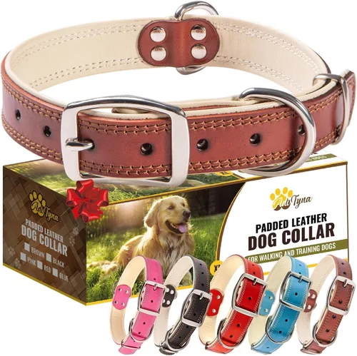 Vista 20 de ADITYNA Collar de perro de cuero negro resistente para perros pequeños, acolchado suave para mayor comodidad, collar de perro pequeño para caminar