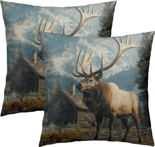 Vista 34 de Fundas de almohada marrón leopardo - 2 piezas Funda de almohada de guepardo 18x18 pulgadas Fundas de almohada de algodón con estampado de animales