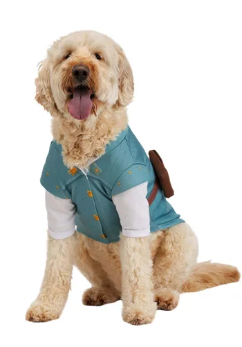 Vista 2 de Disfraz Disney Enredados Flynn Rider para Mascotas Multicolor