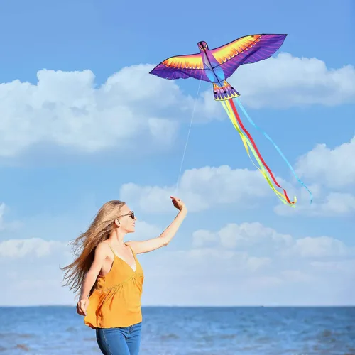 Vista 6 de Mint’s Colorful Life Large Kite for Kids and Adults, Easy to Fly Single Line Beach Kites, Comes with 300ft String Handle