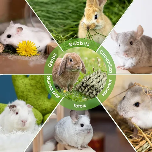 Vista 7 de 50 piezas de conejo Timothy Heno juguete conejo masticar juguetes para conejitos pequeños golosinas de hierba natural palo masticar juguetes