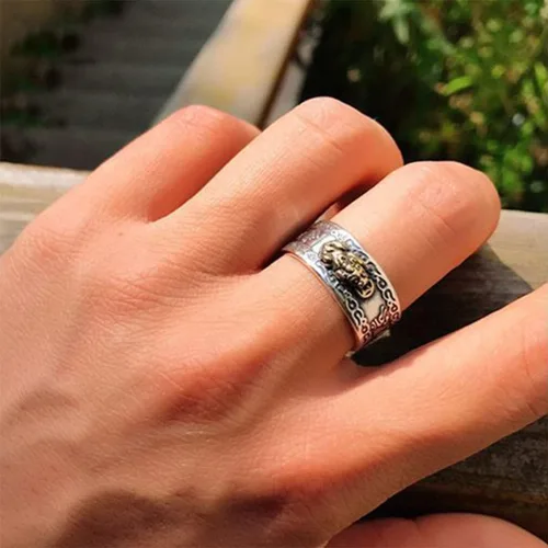 Vista 3 de Qeahenwi Feng Shui - Anillo de mantra Pixiu 2022 para hombres y mujeres, anillo de Feng Shui para riqueza y protección, amuleto de dinero de buena