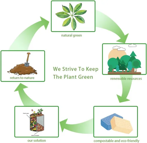 Vista 6 de Esponjas de limpieza grandes de celulosa natural (paquete de 3) – biodegradables, absorbentes, multiusos para cocina, coche y hogar