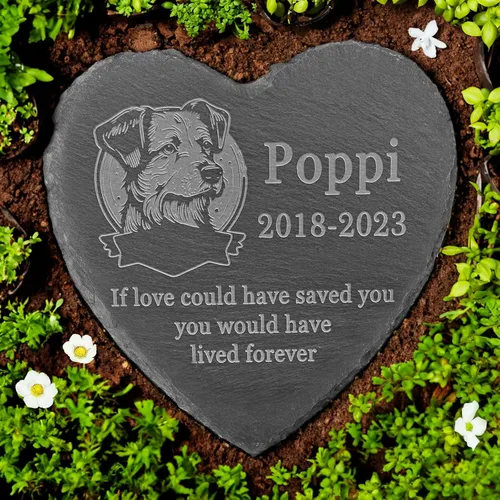 Vista 31 de Memorial personalizado de American Staffordshire Terrier, lápida de American Staffordshire Terrier, condolencias por pérdida de American