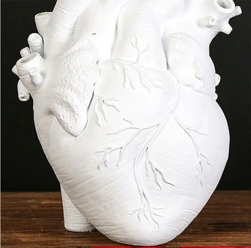 Vista 3 de Jarrón de corazón anatómico creativo de 6 pulgadas, decoración en forma de corazón, maceta de resina moderna y única, estilo nórdico, jarrón