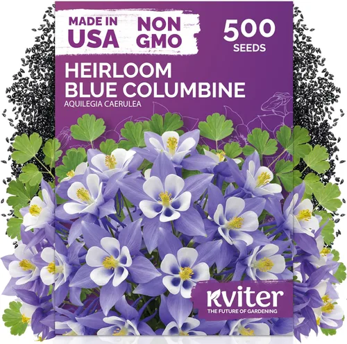 Vista 45 de 500 Ball's Orange Calendula Heirloom Flower Seeds, Calendula Officinalis