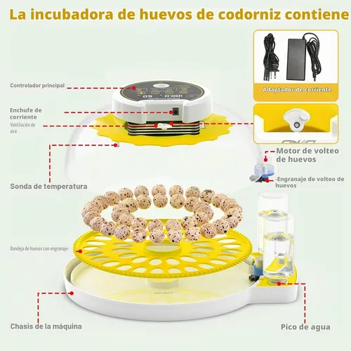Vista 7 de Incubadora de huevos de codorniz 40 con huevos de control de humedad de Amarillo