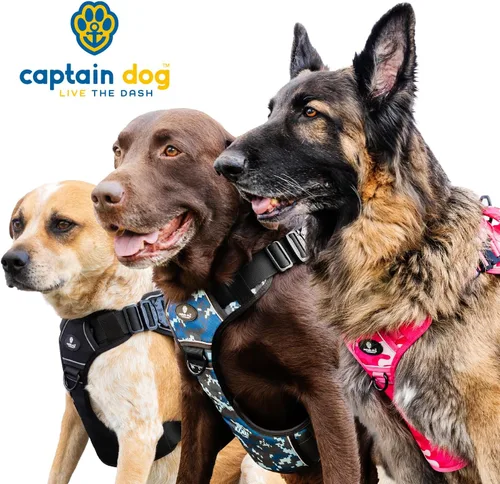 Vista 8 de Chaleco de arnés rosa sin tirones para perro de tamaño mediano con 4 hebillas de metal y doble costura Capitán Dog – Camuflaje rosa reflectante