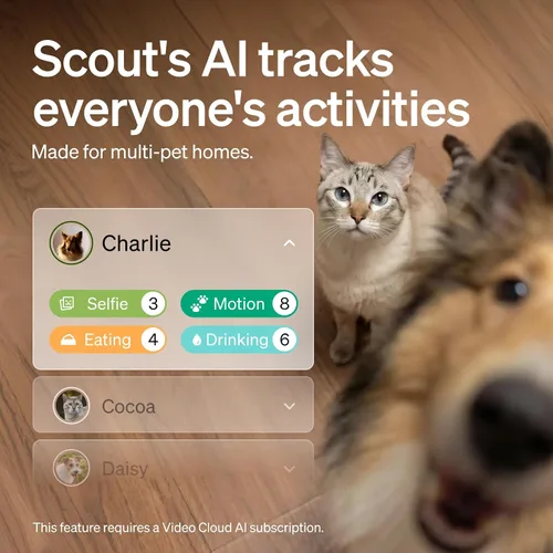 Vista 3 de PETLIBRO Paquete de 2 cámaras AI para mascotas, incluye prueba de IA de 90 días, cámara interior para mascotas con seguimiento automático de 360°