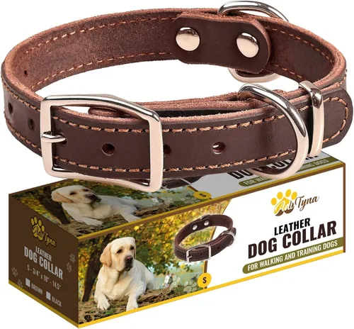 Vista 4 de Juego de collar y correa de cuero para perro, correa de cuero para perro de 6 pies x 1/2 pulgadas y collar de perro resistente para cachorros