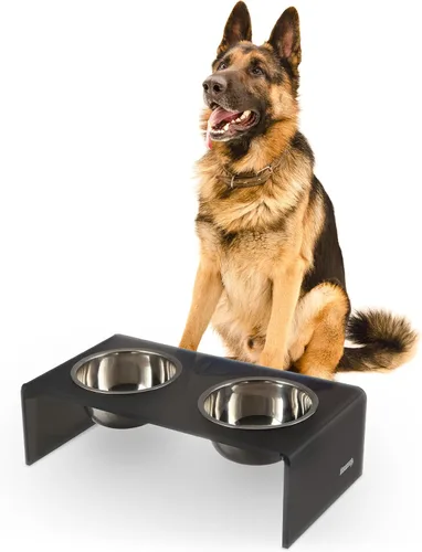Vista 19 de DBL2000B Keaton - Comedero rectangular elevado moderno de lucita para mascotas de 5 pulgadas, tamaño pequeño/mediano, con 2 cuencos de acero