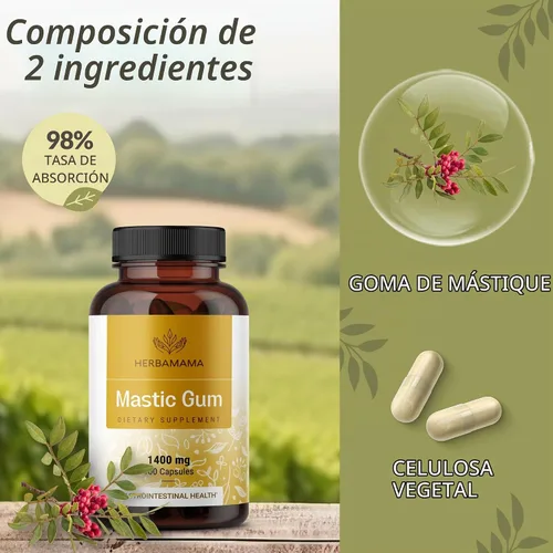 Vista 4 de HERBAMAMA Cápsulas de goma mastica - Apoyo intestinal y digestivo
