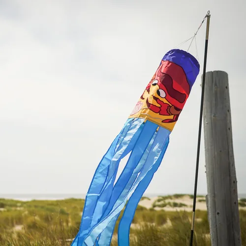 Vista 4 de In the Breeze Cangrejo Windsock, 40 pulgadas