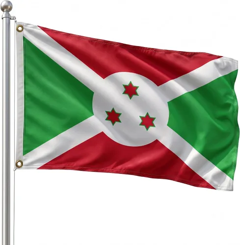 Vista 169 de DMSE - Bandera nacional beninesa beninesa de la República de África Occidental, 2 x 3 pies, 100 % poliéster, 100 % poliéster, resistente a los rayos