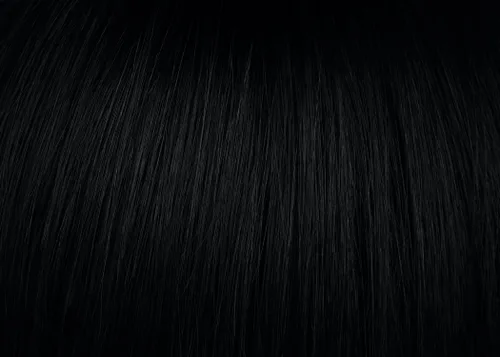Vista 2 de Raquel Welch Chameleon Hair Topper Color R1 Negro Pelucas De Las Mujeres Sintético Monofilamento Base Clip En Bang Hairpiece Fringe