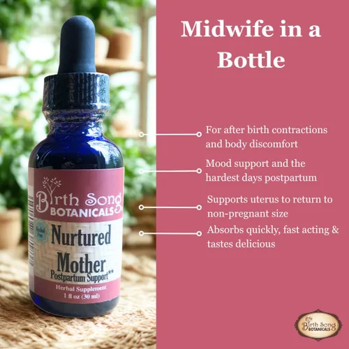 Vista 7 de Birth Song Botanicals Nutrida madre posparto esencial y suplemento de apoyo, tintura de hierbas después del parto para nuevas mamás después