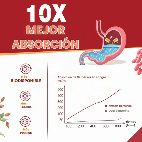 Vista 4 de Berberina Suplemento Orgánico 1500mg con Canela de Ceilán 120 Cápsulas