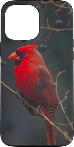 Vista 24 de Funda para iPhone 16 Cardinal Bird