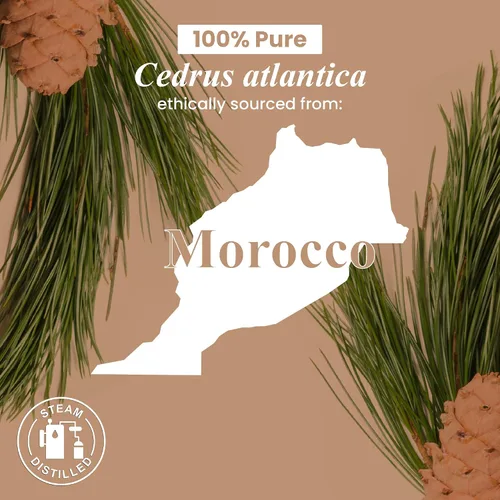 Vista 7 de Handcraft Blends Aceite esencial de cedro orgánico, 1 onza líquida, 100% puro y natural, aceite esencial de alta calidad para difusor y aromaterapia