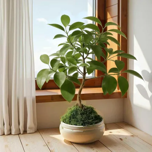 Vista 9 de Musgo verde falso – Musgo artificial para plantas de interior, imitación para manualidades, decoración de jardín de hadas de bricolaje, centros