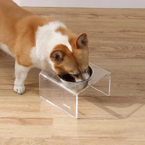 Vista 2 de DBL2002A Keaton 5" Pequeño/Mediano Comedero Elevado Moderno de Acrílico Rectangular para Mascotas con Tazón de Acero Inoxidable de 20oz