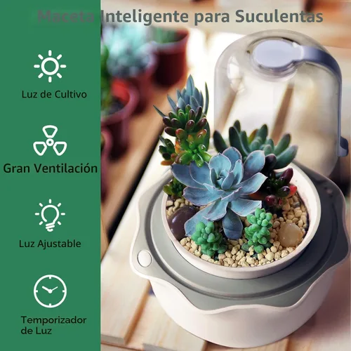 Vista 4 de Smart Venus - Maceta de terrario con temporizador y ventilador, kit de terrario para plantas con luz de crecimiento para carnívoros, Butterwort