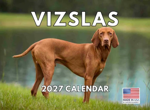 Vista 39 de Calendario mensual de pared Airedale Terrier Dog 2027