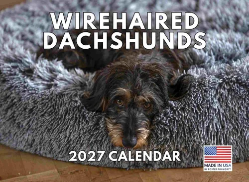 Vista 113 de Calendario mensual de pared Airedale Terrier Dog 2027