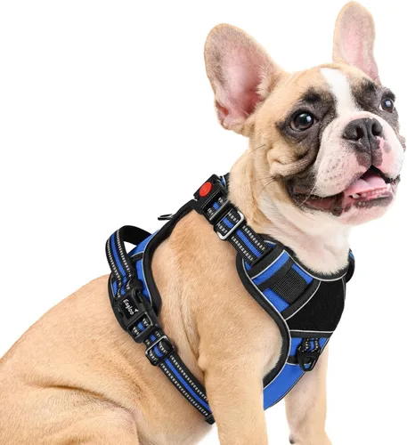Vista 19 de Eagloo Arnés para perro de tamaño pequeño, fácil de llevar con 3 hebillas, arnés ajustable sin tirones para mascotas con sistema MOLLE, chaleco
