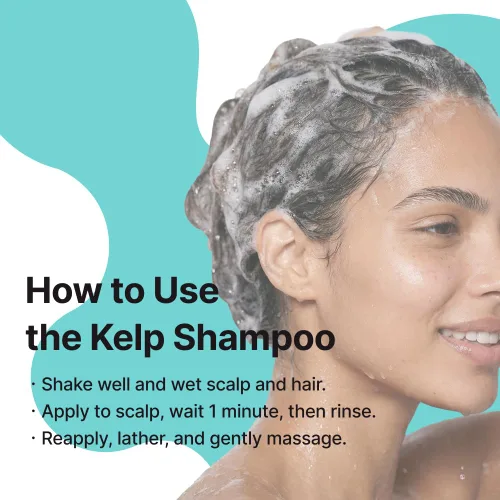 Vista 6 de Champú para cuero cabelludo sensible, champú suave sin sulfato de algas marinas con Laminaria Japonica y Mung, cuidado del cabello coreano