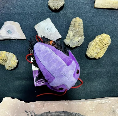 Vista 6 de GIANT MICROBES Fuzzy Fossils Trilobite Plush - Aprende sobre fósiles y criaturas prehistóricas, regalo único para familiares, amigos, científicos
