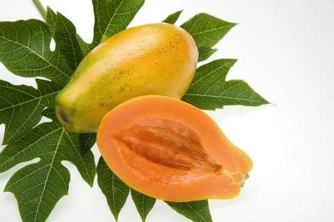 Vista 3 de 50pcs Semillas de Frutas de Papaya Cilíndrica Enana "Kaek dahm