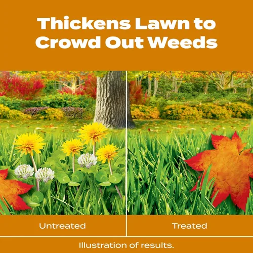 Vista 4 de Scotts Turf Builder WinterGuard Fall Weed & Feed3, Herbicida Plus Fertilizante de Otoño, 4,000 pies cuadrados, 11.43 libras. Weed Killer Plus